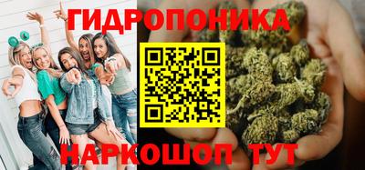 крисы Абакан