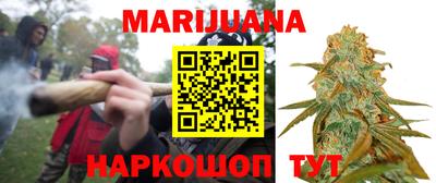 крисы Абакан