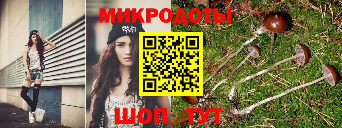 Псилоцибиновые грибы Cubensis Азнакаево